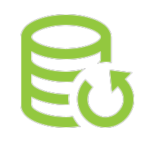 icon Data backup